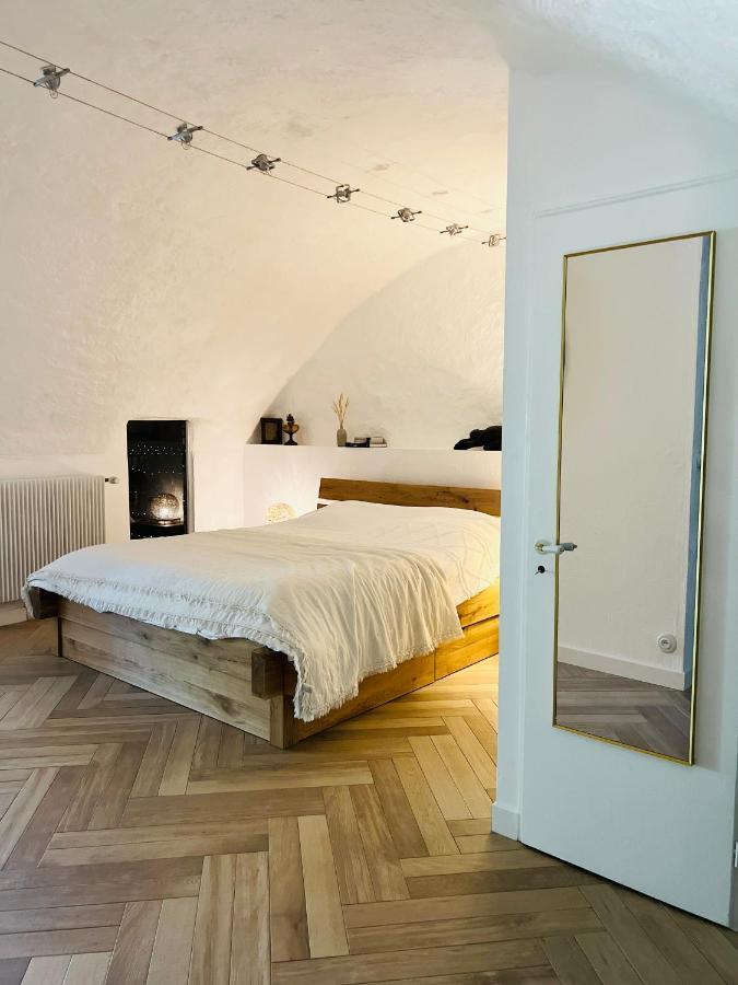 Superbe Appartement Au Chateau D'Allaman De 80M2 吕格兰 外观 照片