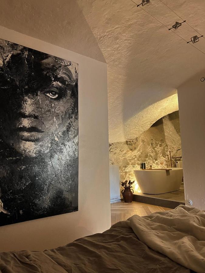 Superbe Appartement Au Chateau D'Allaman De 80M2 吕格兰 外观 照片