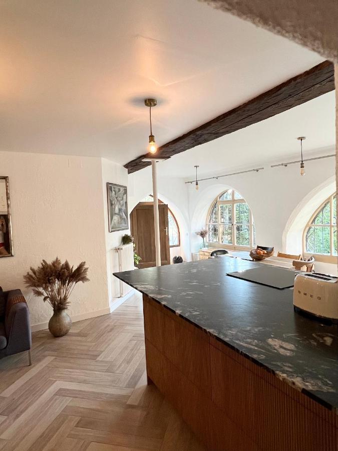 Superbe Appartement Au Chateau D'Allaman De 80M2 吕格兰 外观 照片